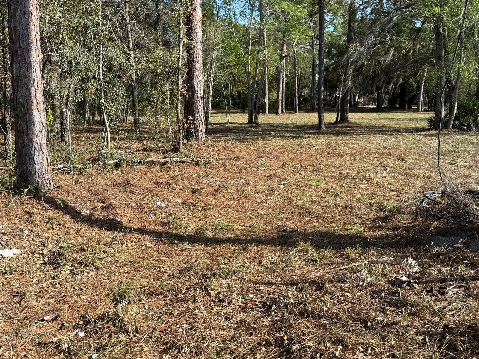 6479 W HOLIDAY ST, HOMOSASSA, FL, 34446