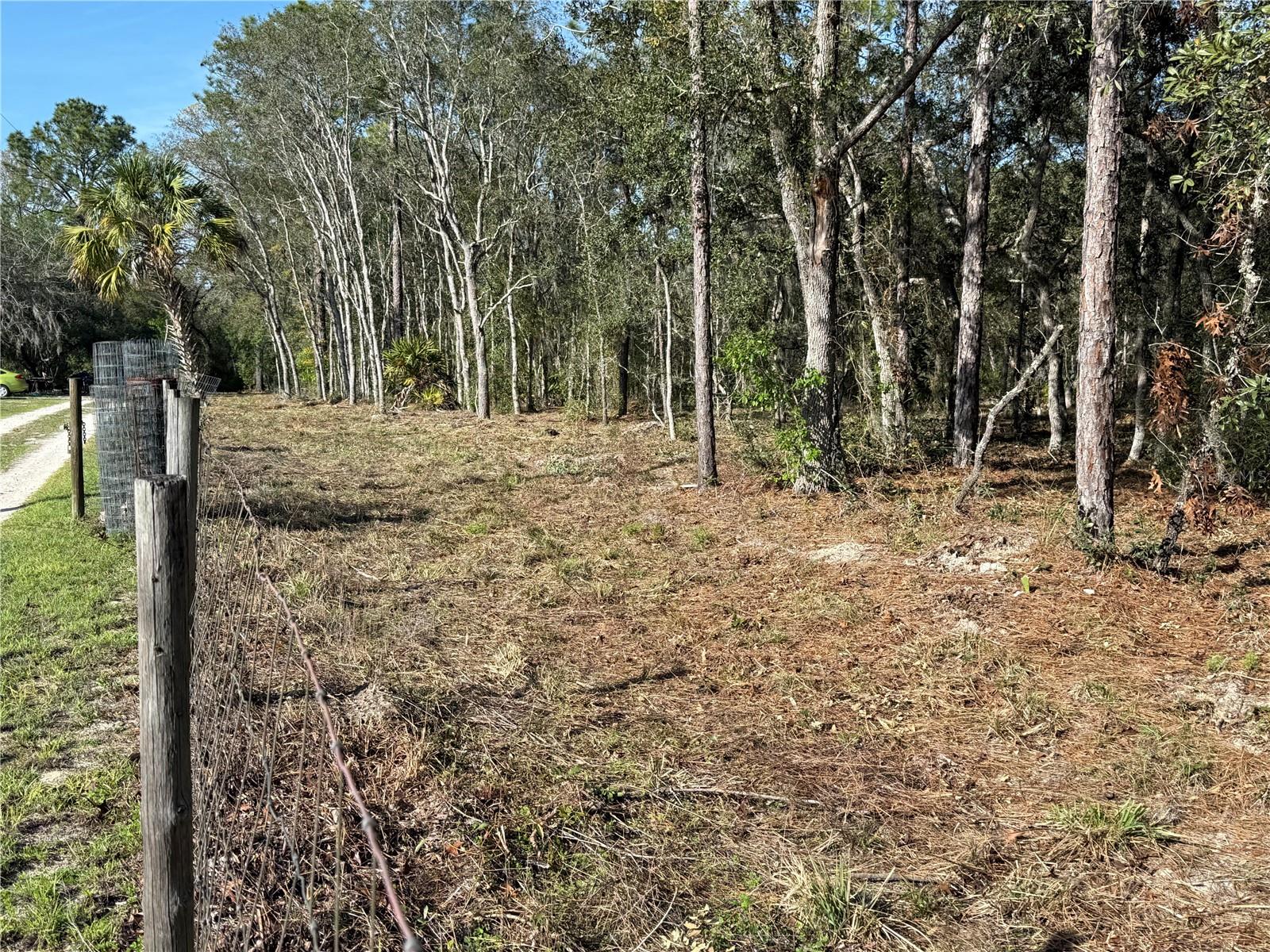 6479 W HOLIDAY ST, HOMOSASSA, FL, 34446