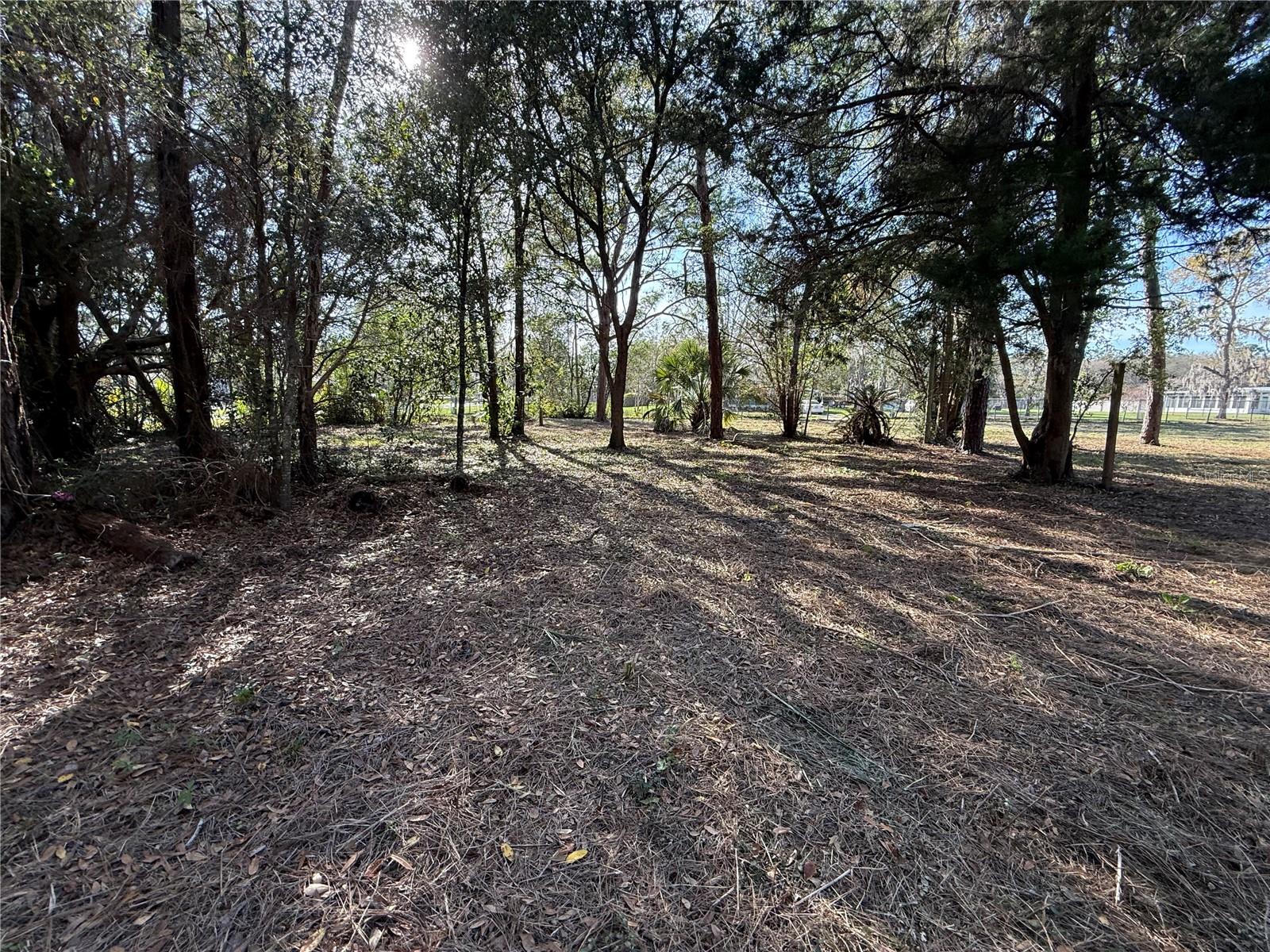 6479 W HOLIDAY ST, HOMOSASSA, FL, 34446