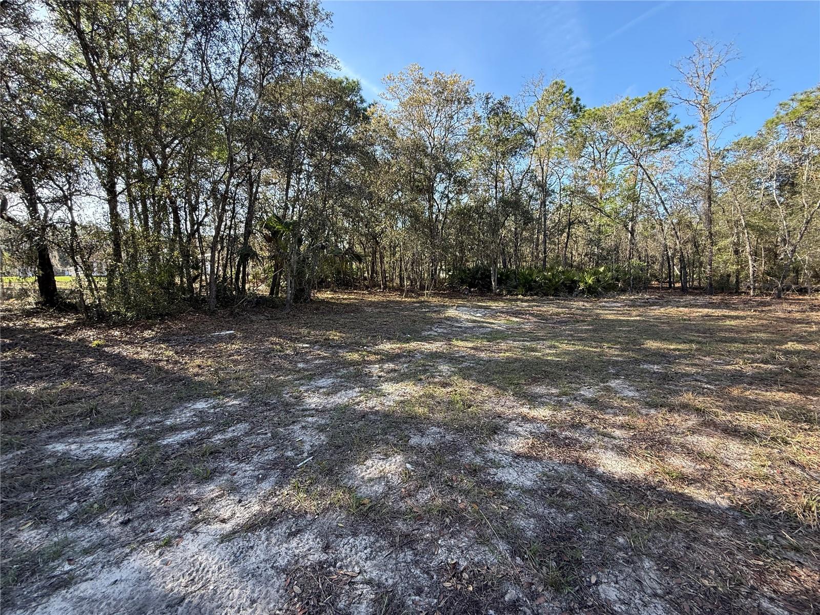 6479 W HOLIDAY ST, HOMOSASSA, FL, 34446