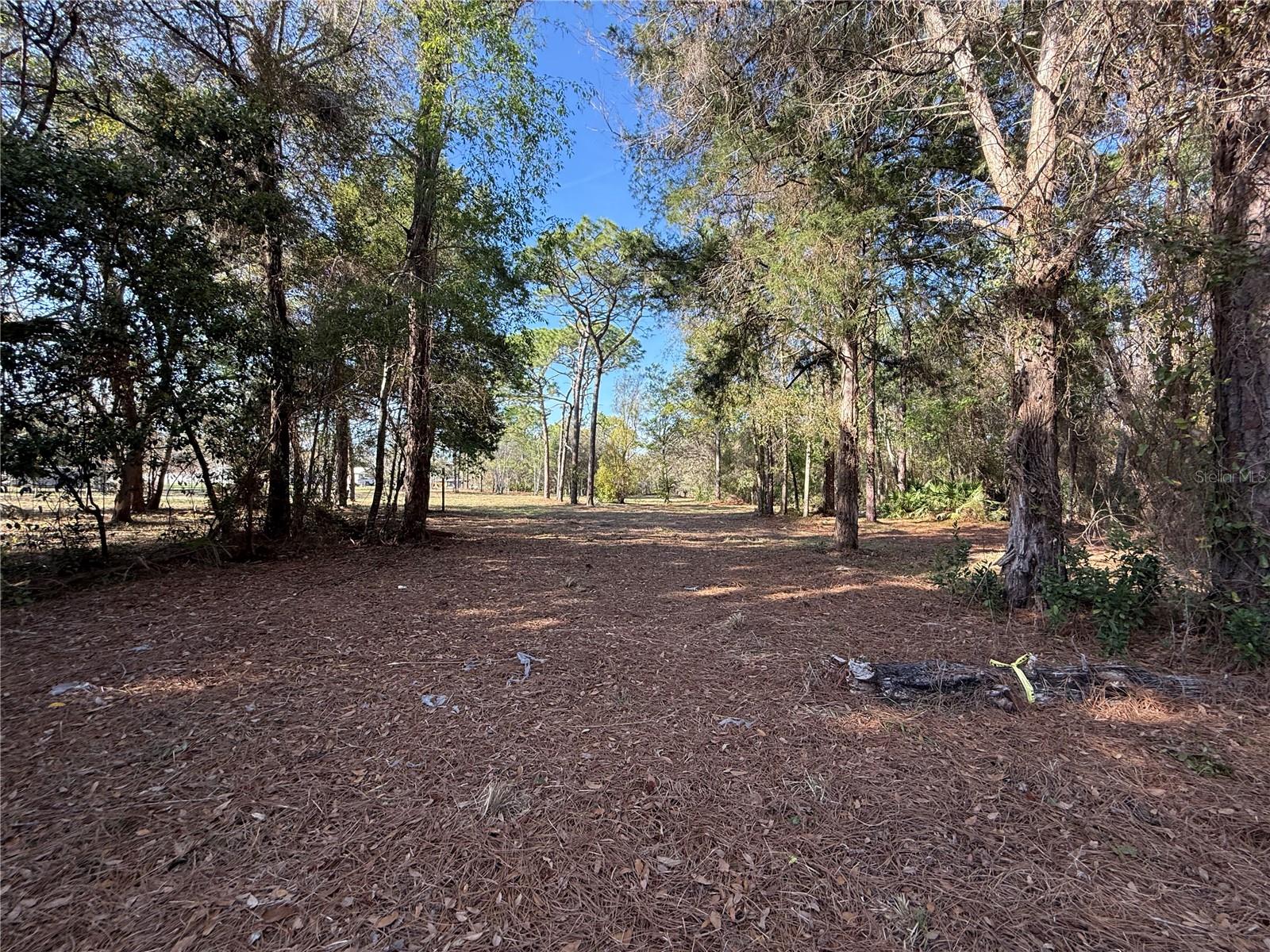 6479 W HOLIDAY ST, HOMOSASSA, FL, 34446