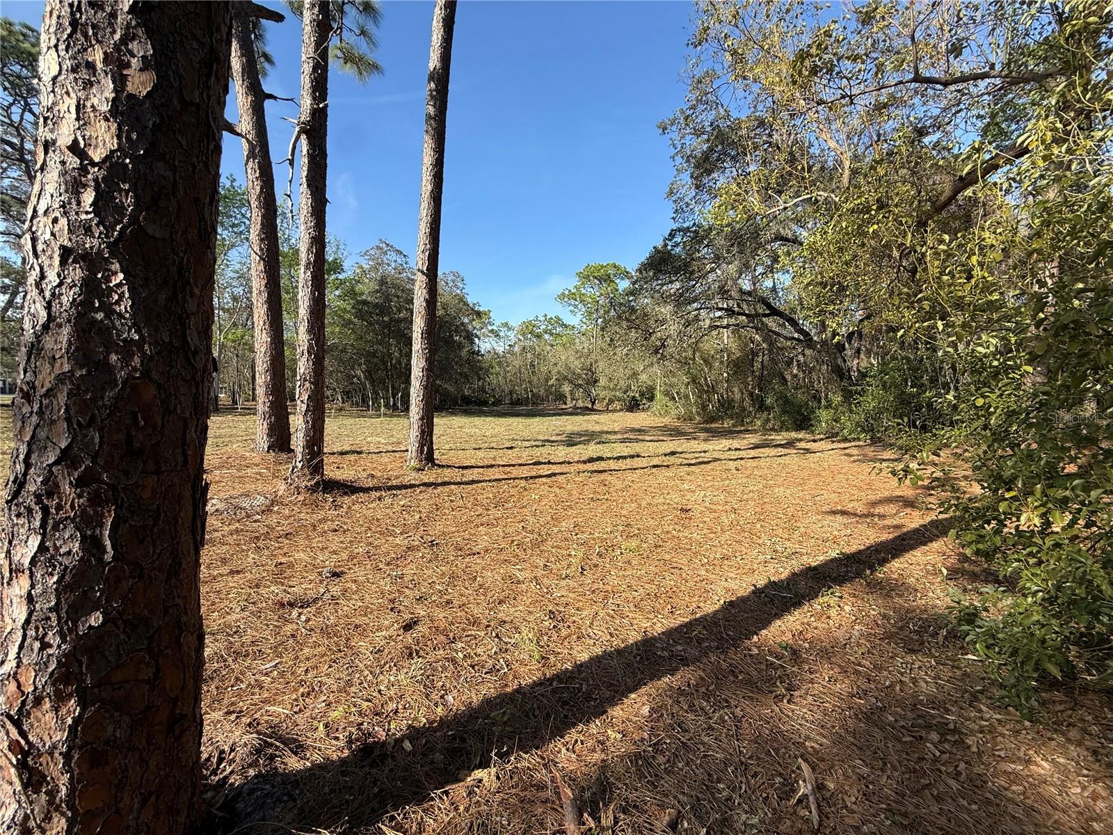 6479 W HOLIDAY ST, HOMOSASSA, FL, 34446