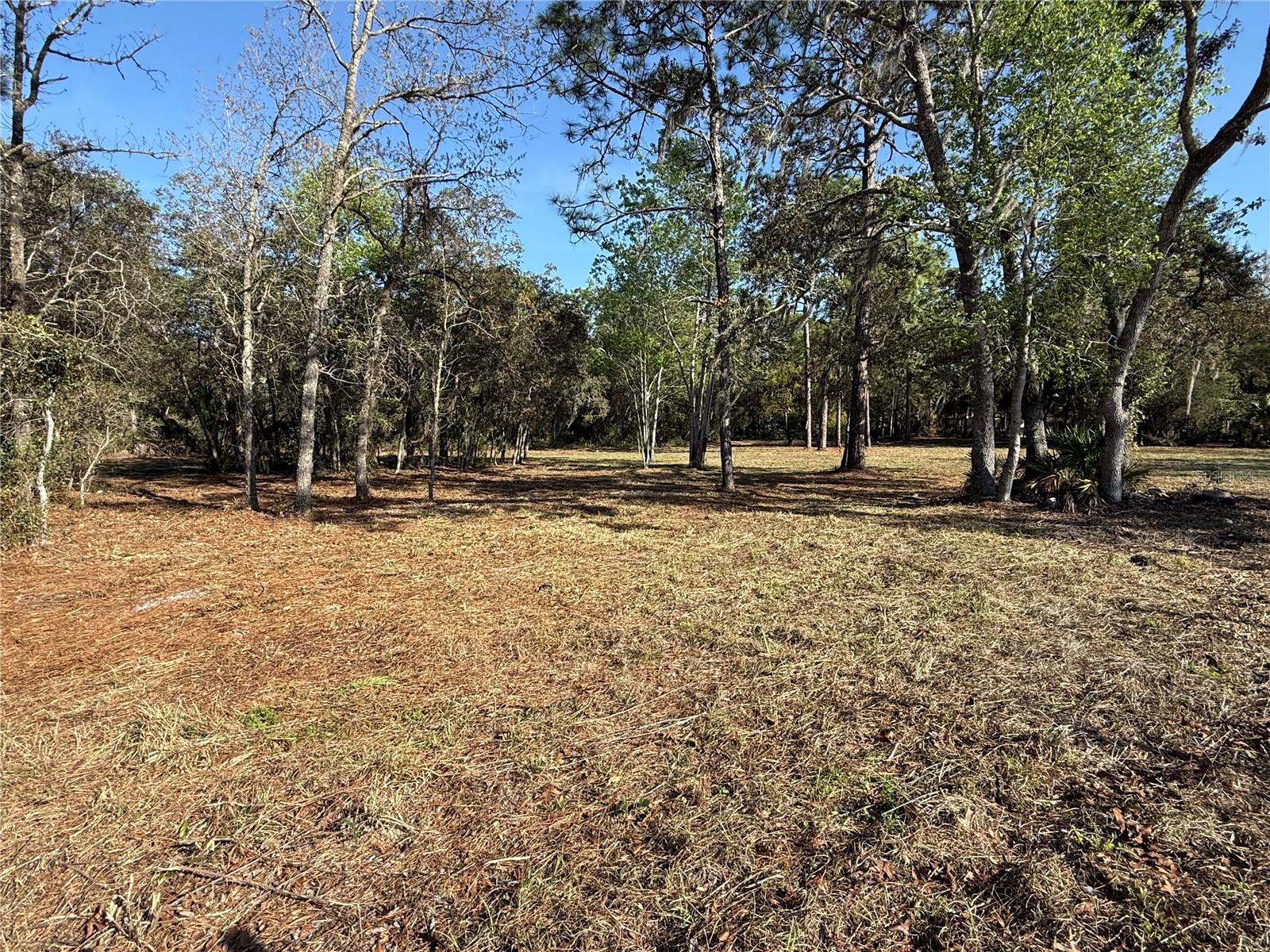 6479 W HOLIDAY ST, HOMOSASSA, FL, 34446