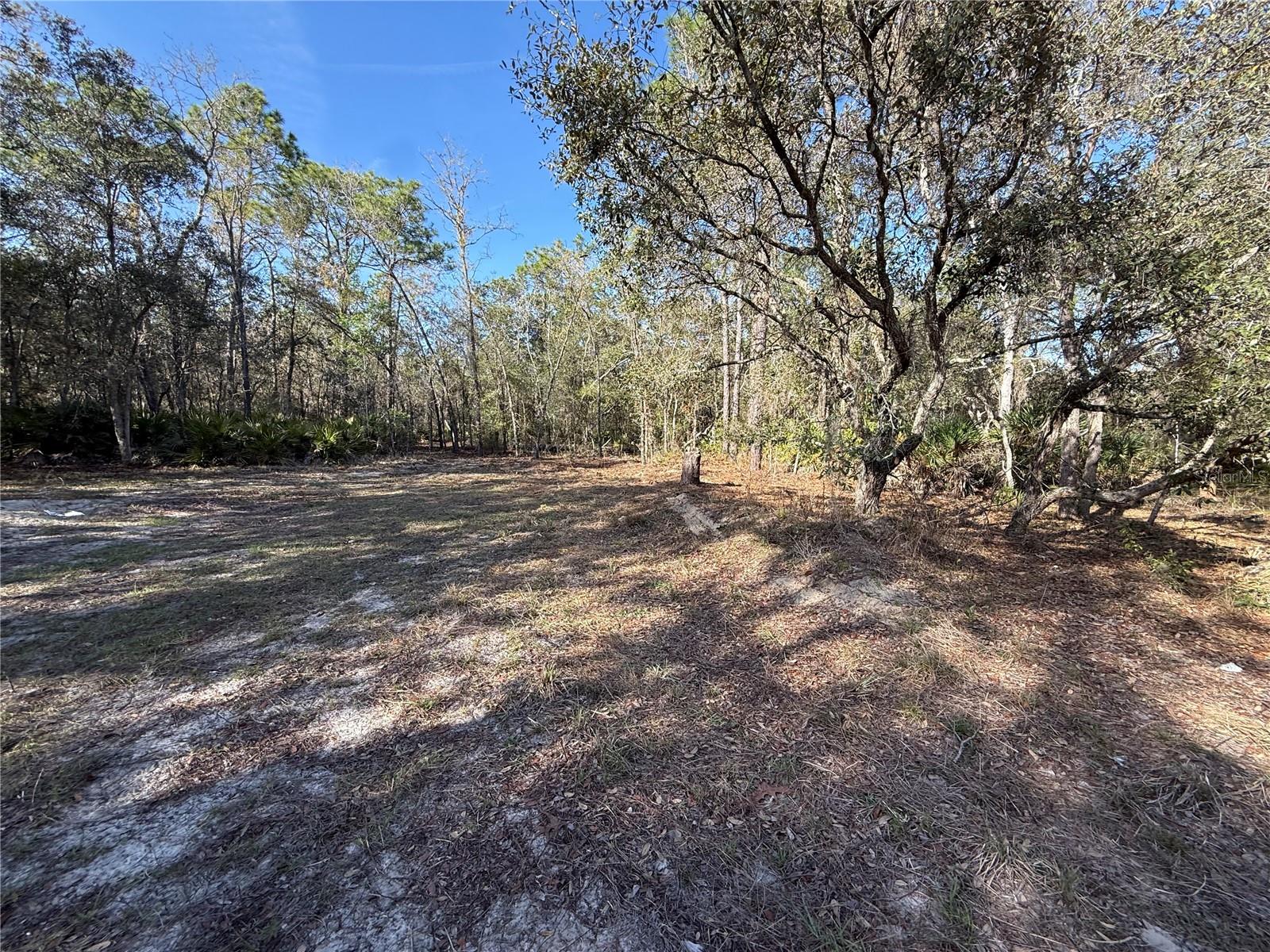 6479 W HOLIDAY ST, HOMOSASSA, FL, 34446