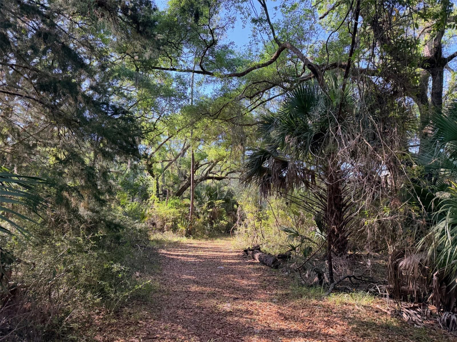 6650 NW 110TH AVE, CHIEFLAND, FL, 32626