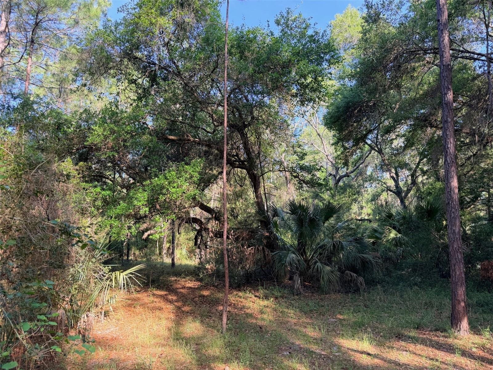 6650 NW 110TH AVE, CHIEFLAND, FL, 32626