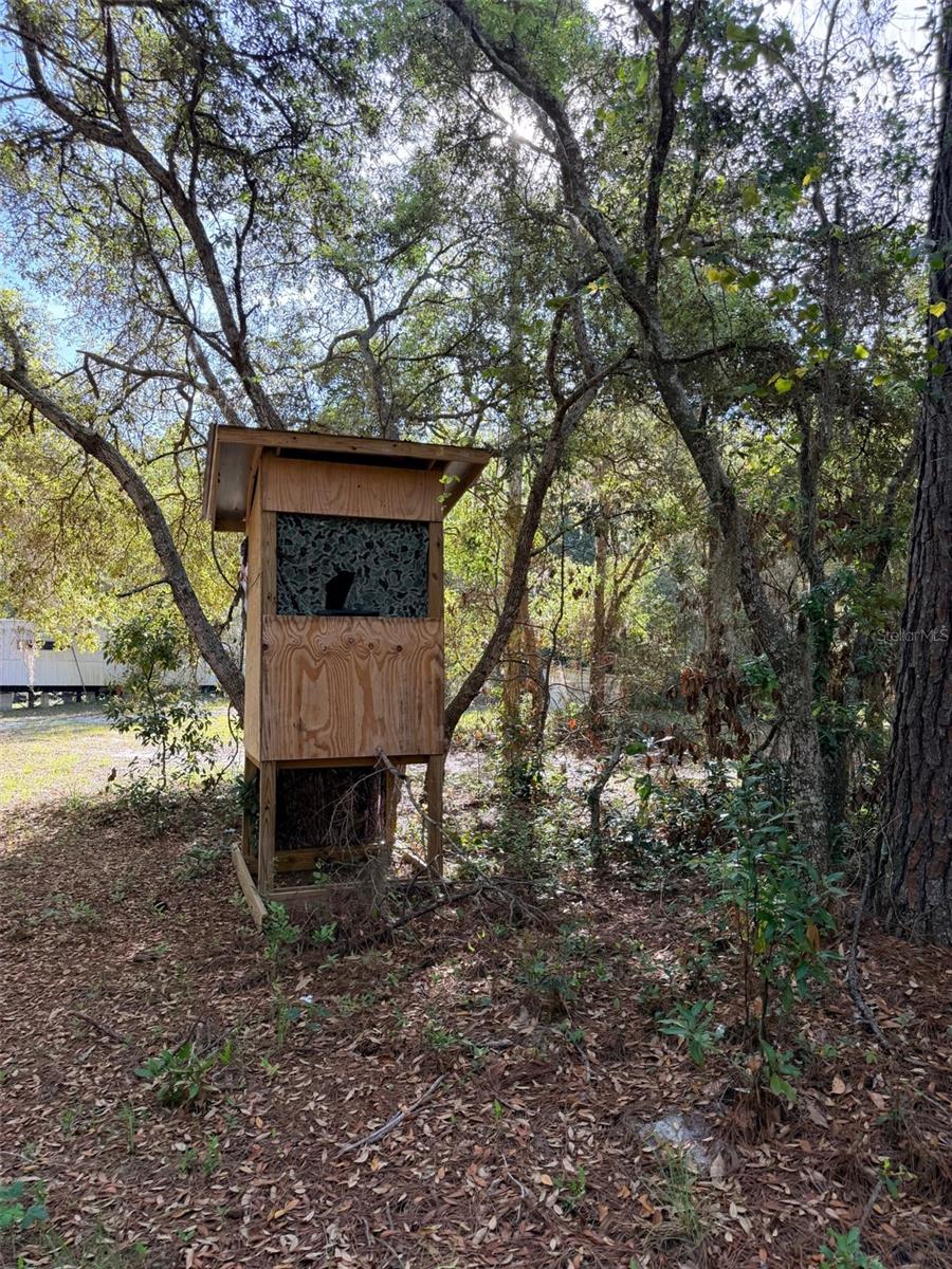 6650 NW 110TH AVE, CHIEFLAND, FL, 32626