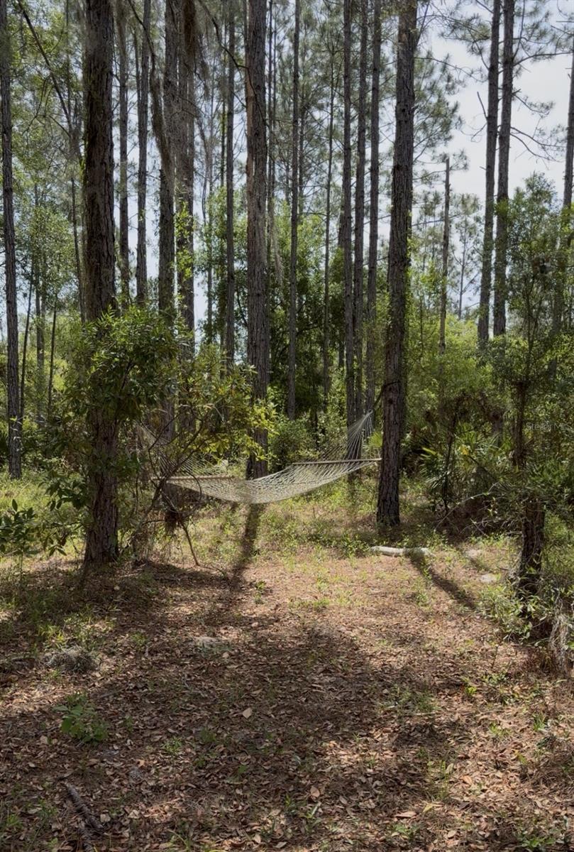 6650 NW 110TH AVE, CHIEFLAND, FL, 32626