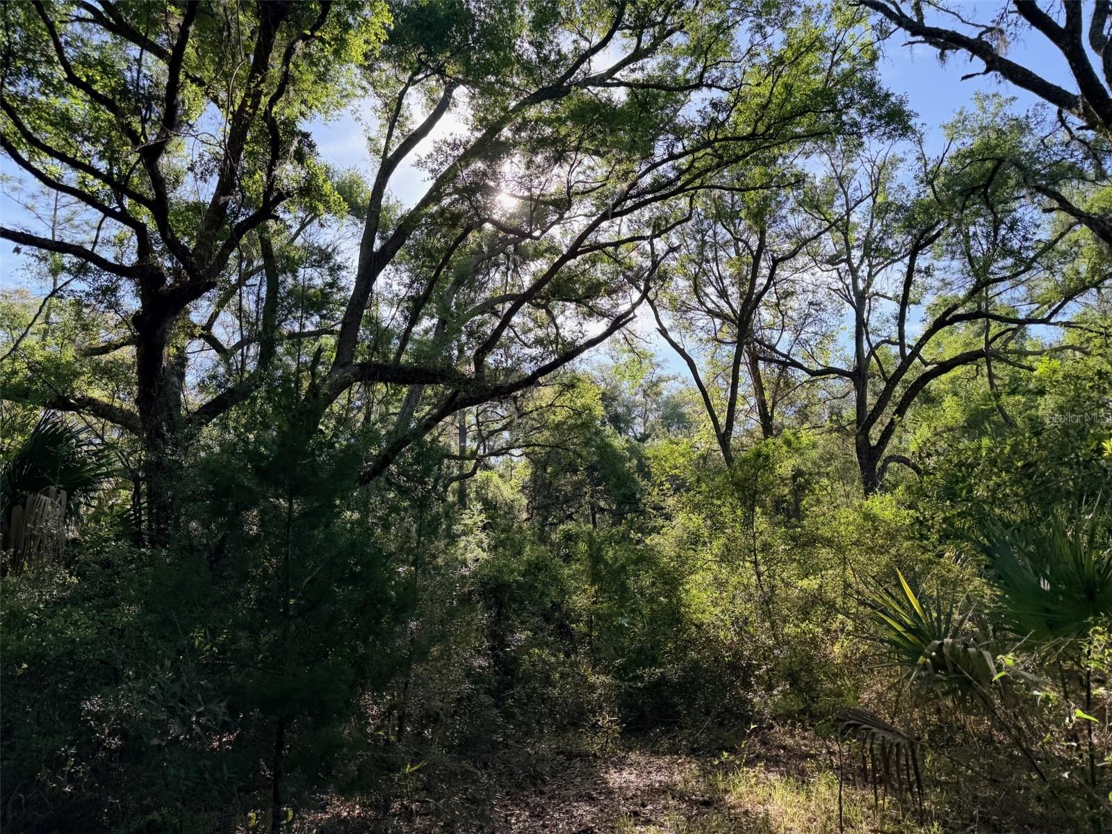 6650 NW 110TH AVE, CHIEFLAND, FL, 32626