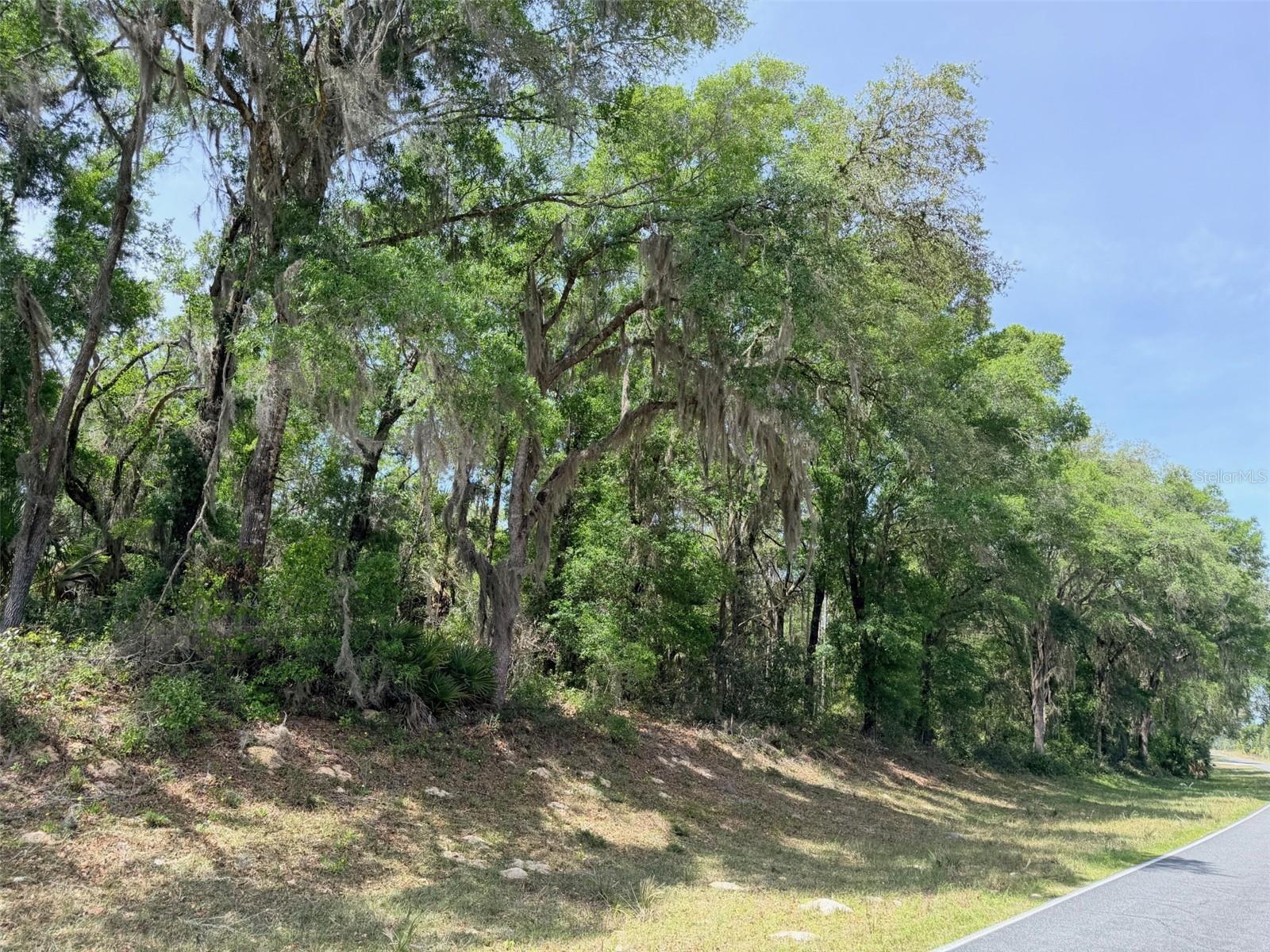 6650 NW 110TH AVE, CHIEFLAND, FL, 32626