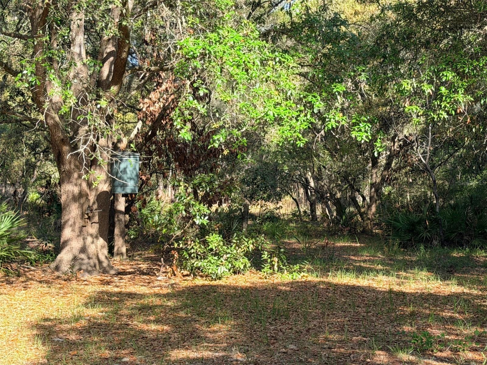 6650 NW 110TH AVE, CHIEFLAND, FL, 32626