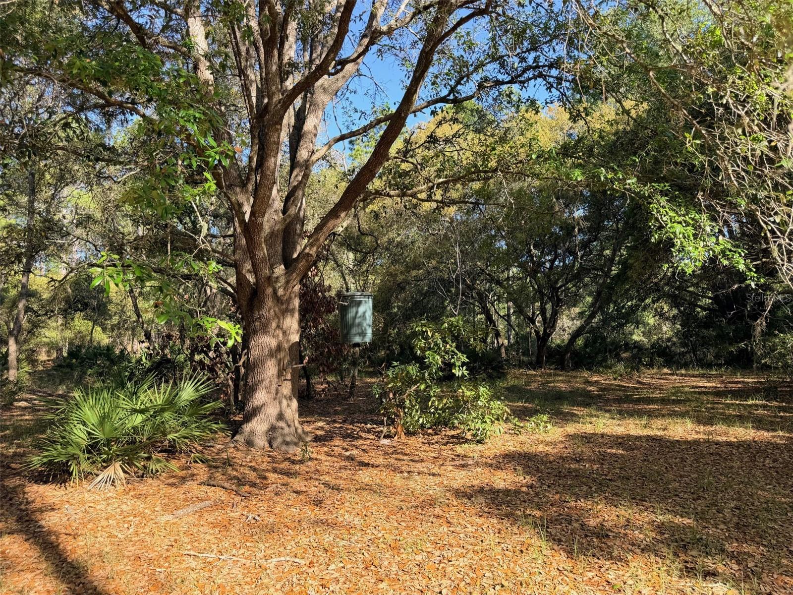 6650 NW 110TH AVE, CHIEFLAND, FL, 32626