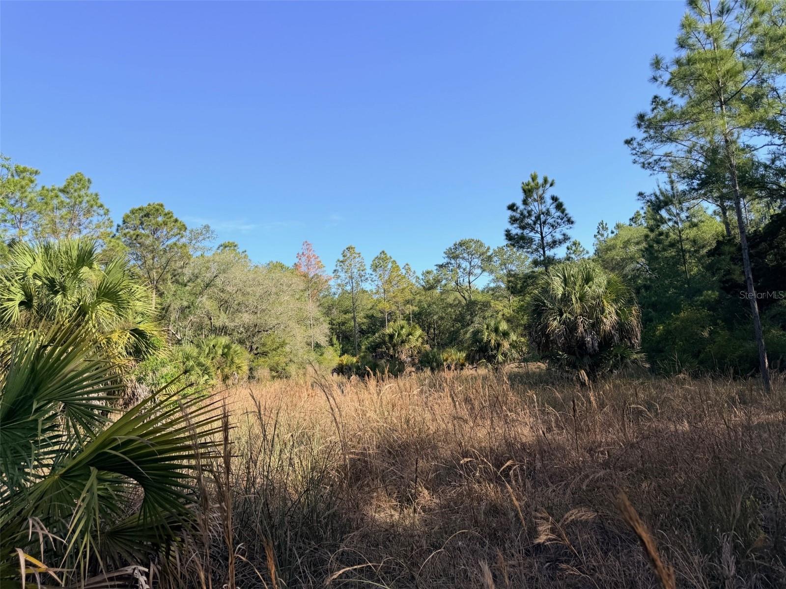 6650 NW 110TH AVE, CHIEFLAND, FL, 32626