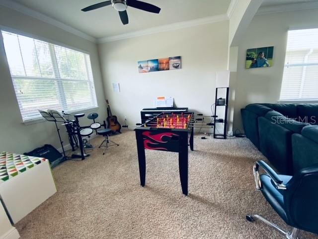 3124 MAJESTIC VIEW DR, LUTZ, FL, 33558