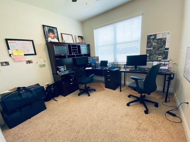 3124 MAJESTIC VIEW DR, LUTZ, FL, 33558