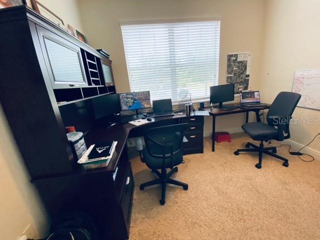 3124 MAJESTIC VIEW DR, LUTZ, FL, 33558