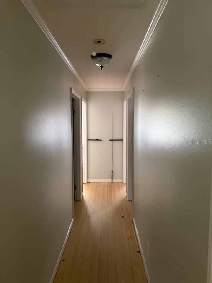 101 WALKER DR, INTERLACHEN, FL, 32148