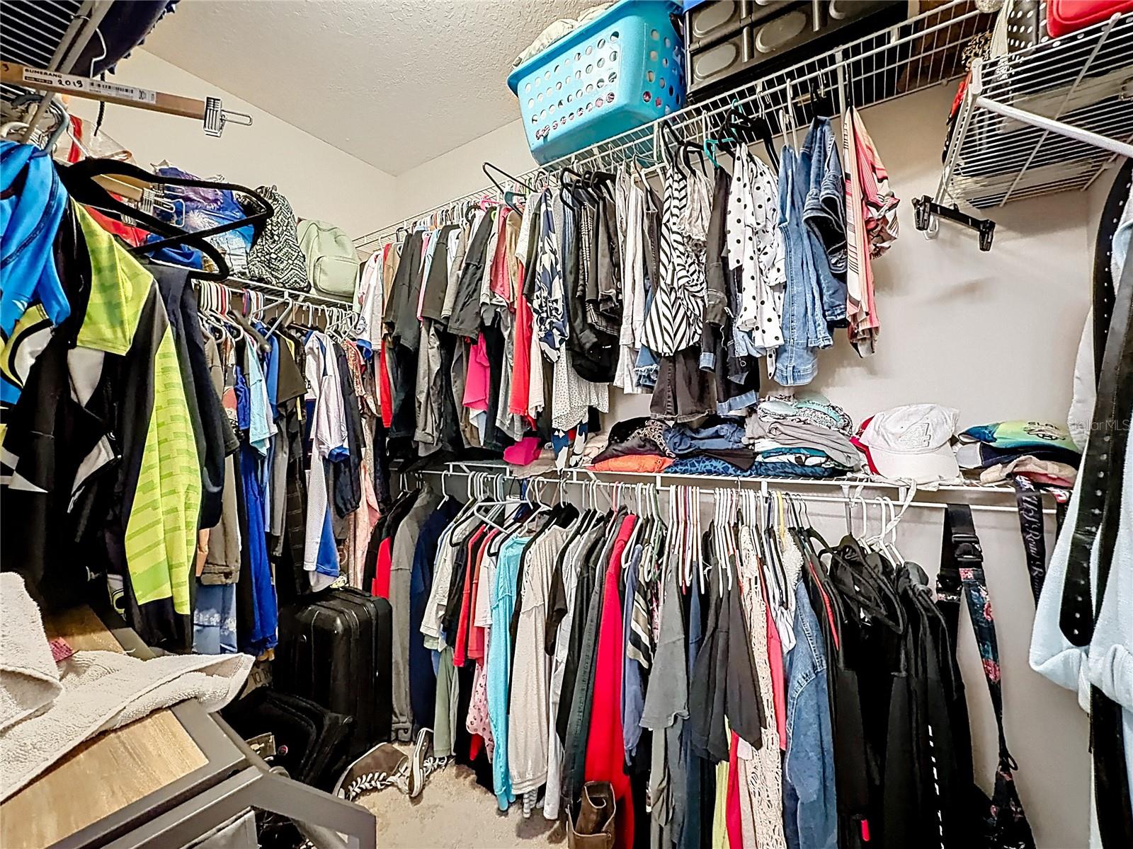 3631 BLACK DOG CT, TAVARES, FL, 32778