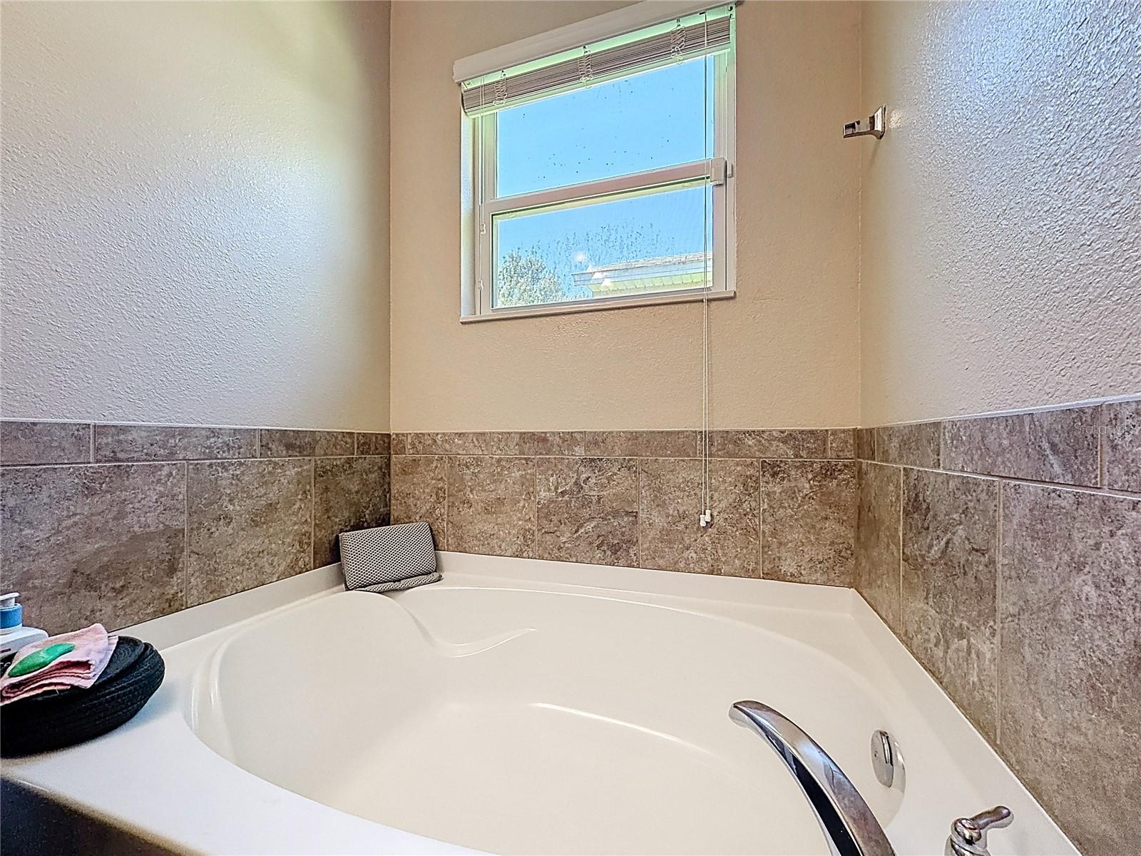 3631 BLACK DOG CT, TAVARES, FL, 32778