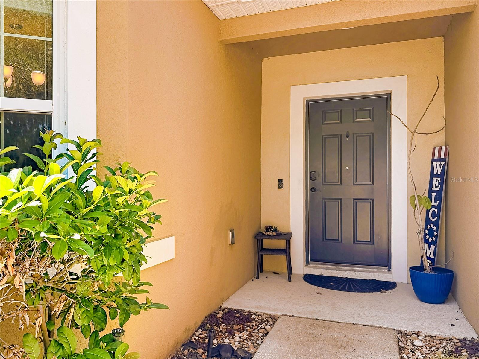 3631 BLACK DOG CT, TAVARES, FL, 32778