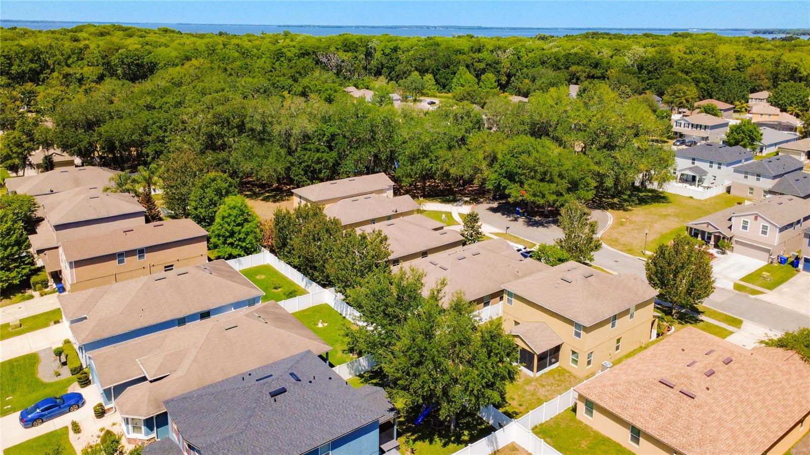 3631 BLACK DOG CT, TAVARES, FL, 32778