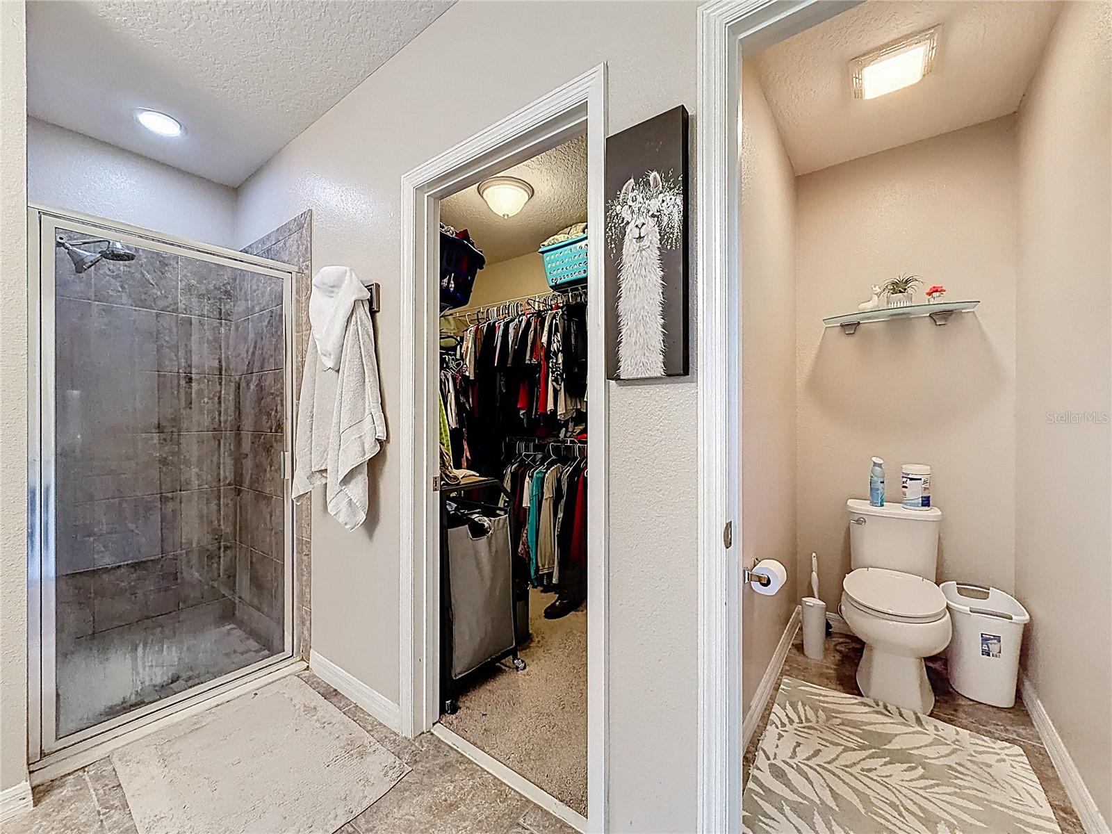 3631 BLACK DOG CT, TAVARES, FL, 32778