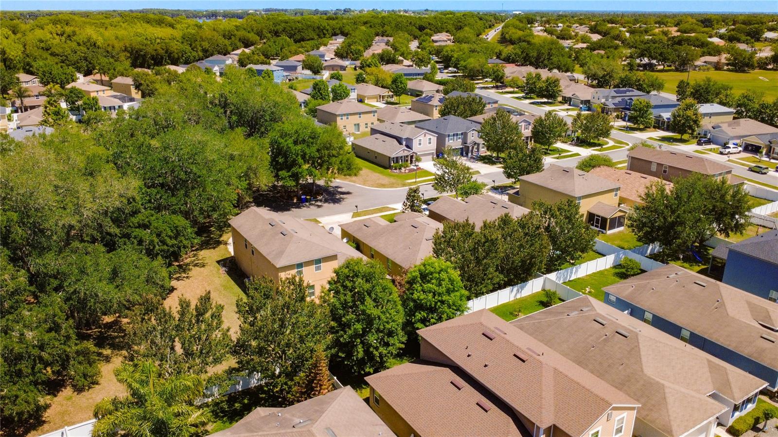 3631 BLACK DOG CT, TAVARES, FL, 32778