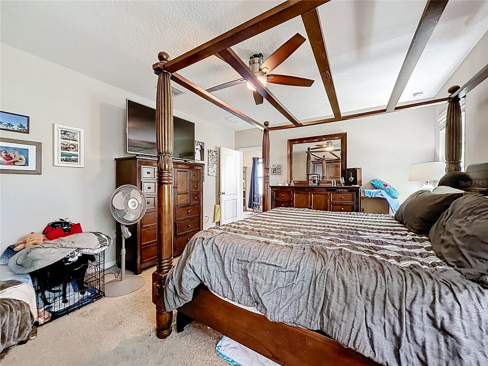 3631 BLACK DOG CT, TAVARES, FL, 32778