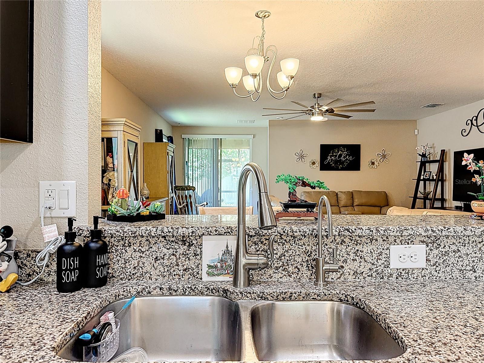 3631 BLACK DOG CT, TAVARES, FL, 32778