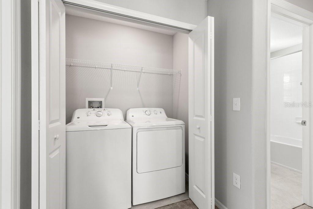 4436 GLOBE THISTLE DR, TAMPA, FL, 33619