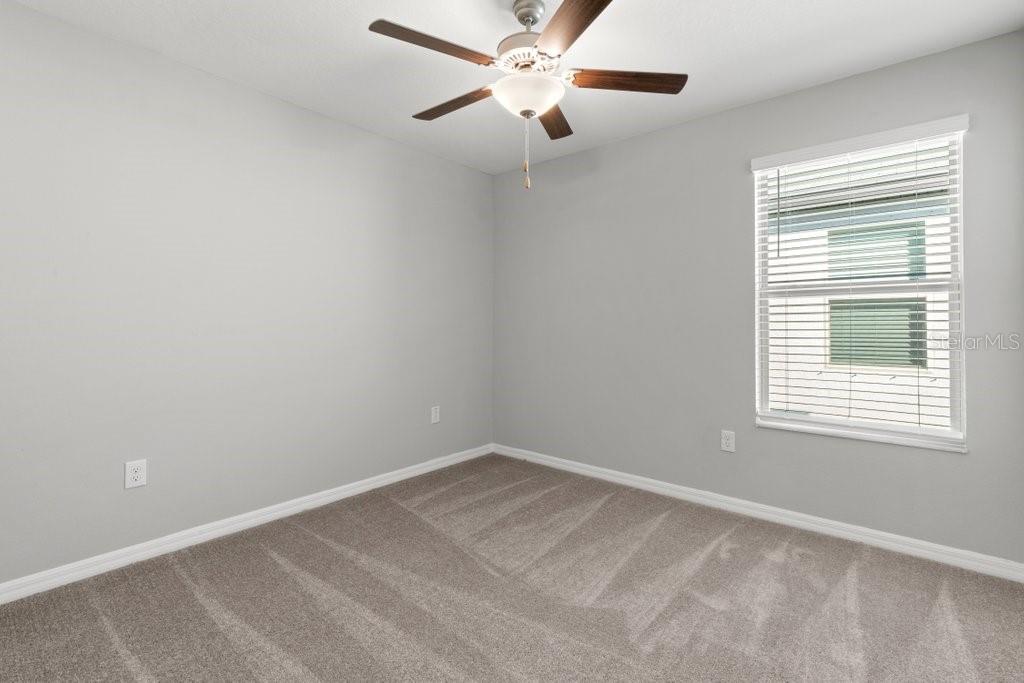 4436 GLOBE THISTLE DR, TAMPA, FL, 33619