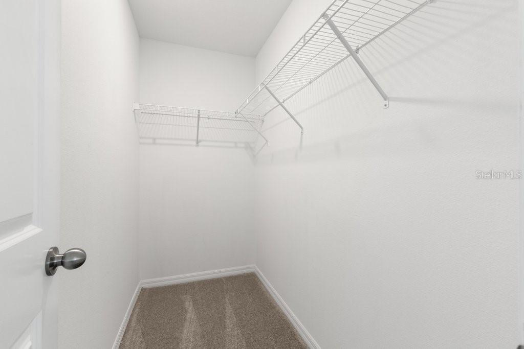 4436 GLOBE THISTLE DR, TAMPA, FL, 33619