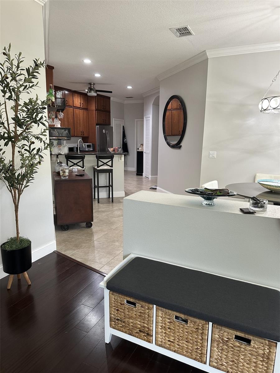 19113 DOVES LANDING DR, TAMPA, FL, 33647