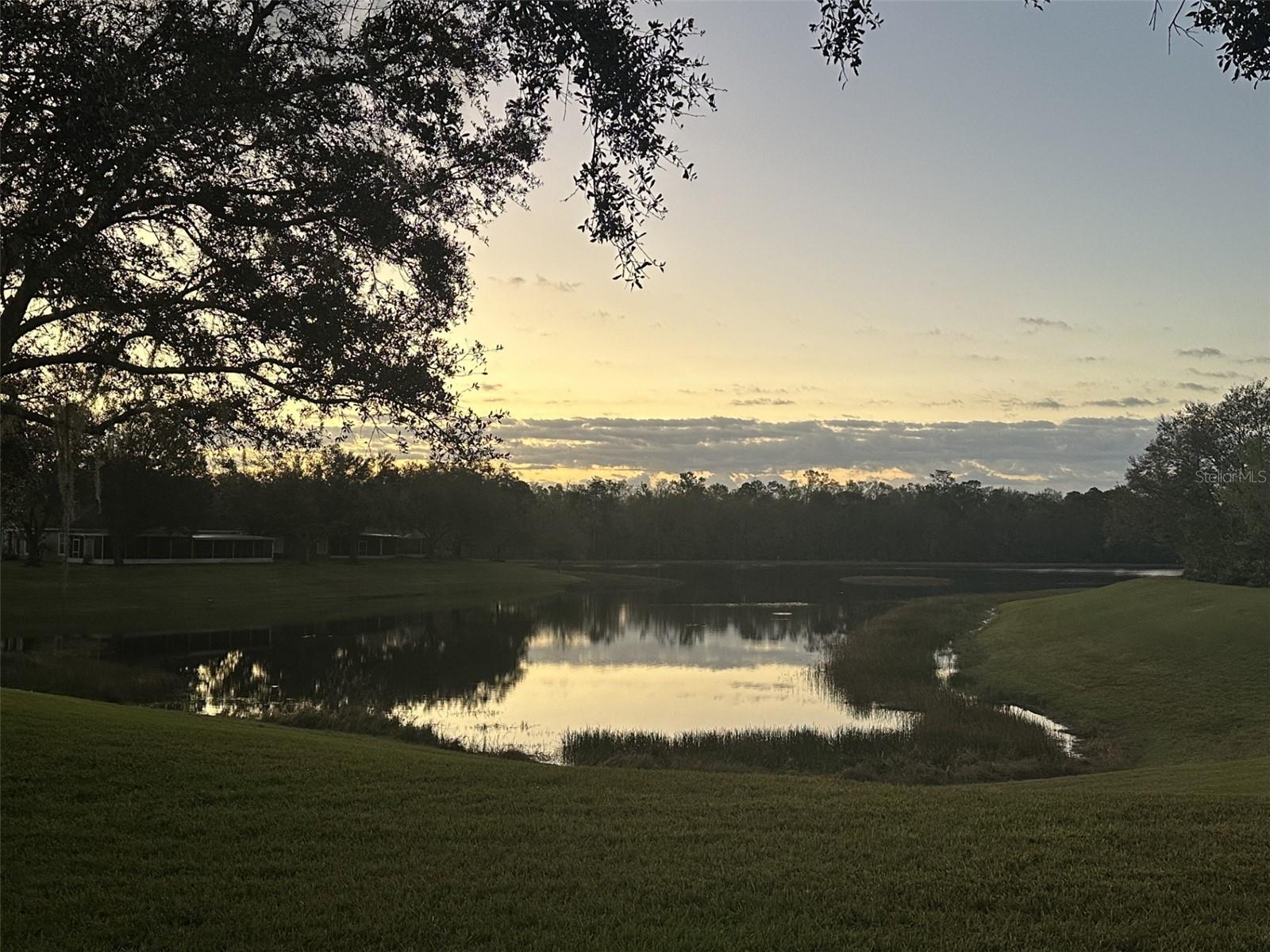 19113 DOVES LANDING DR, TAMPA, FL, 33647