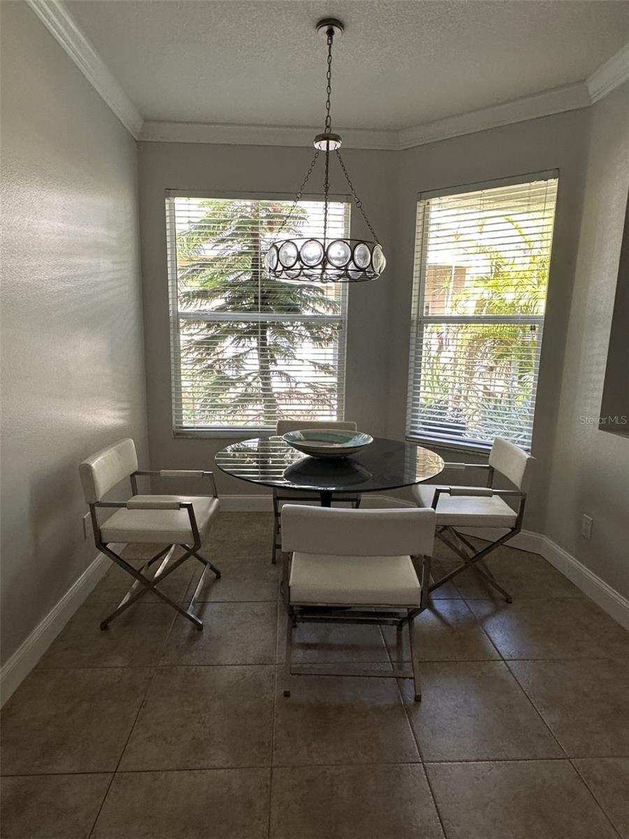 19113 DOVES LANDING DR, TAMPA, FL, 33647