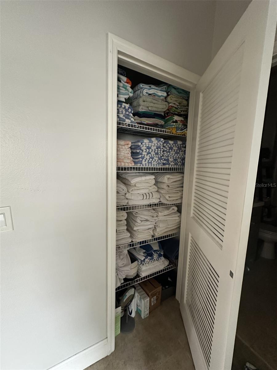 19113 DOVES LANDING DR, TAMPA, FL, 33647