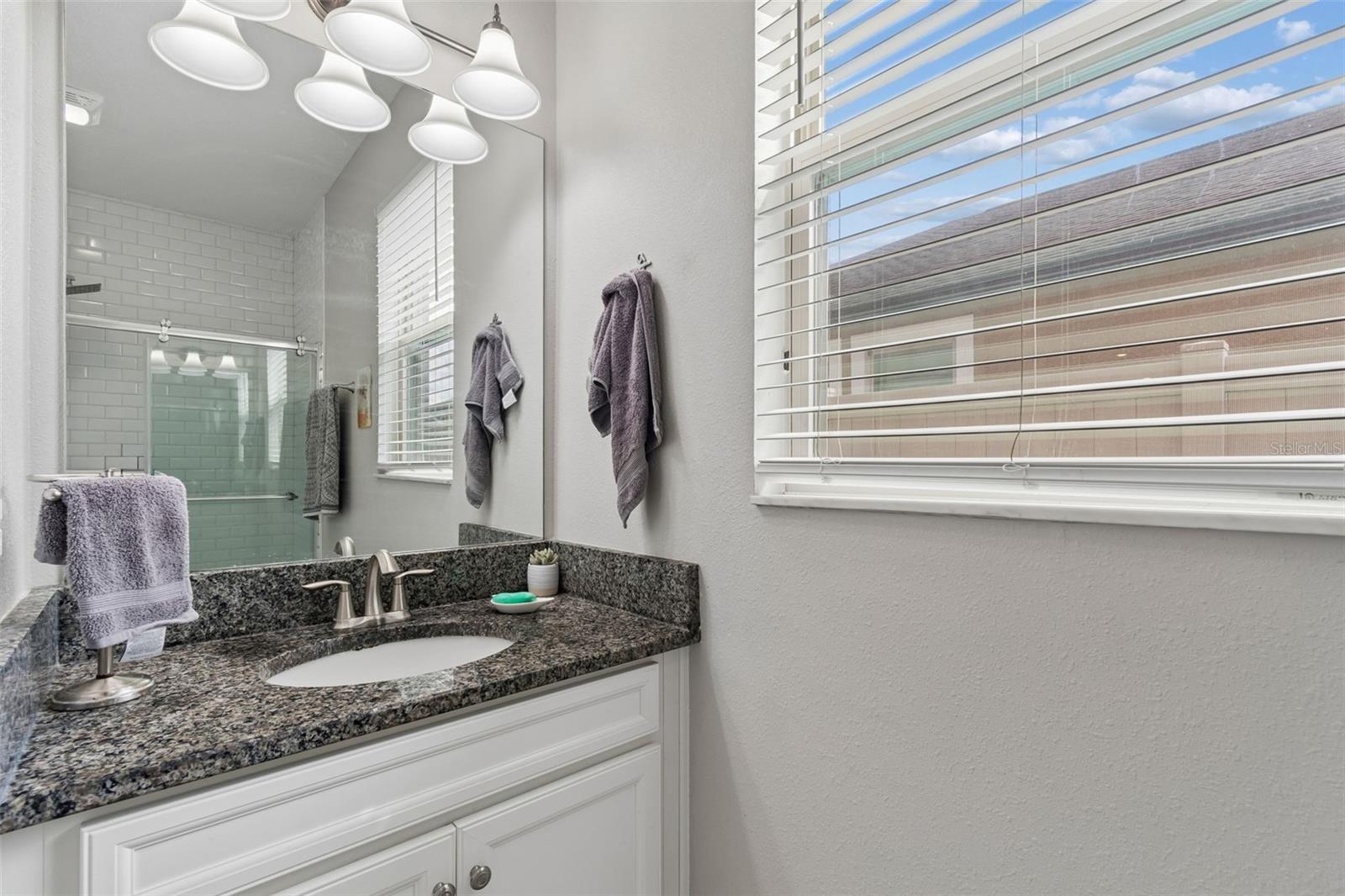 32237 WATOGA LOOP, WESLEY CHAPEL, FL, 33543