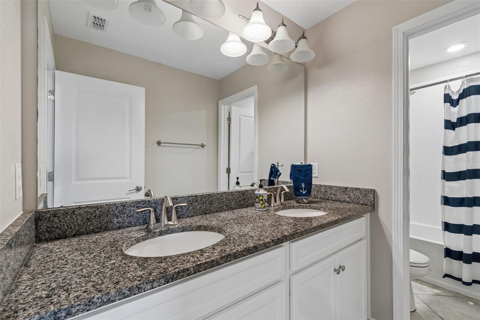 32237 WATOGA LOOP, WESLEY CHAPEL, FL, 33543