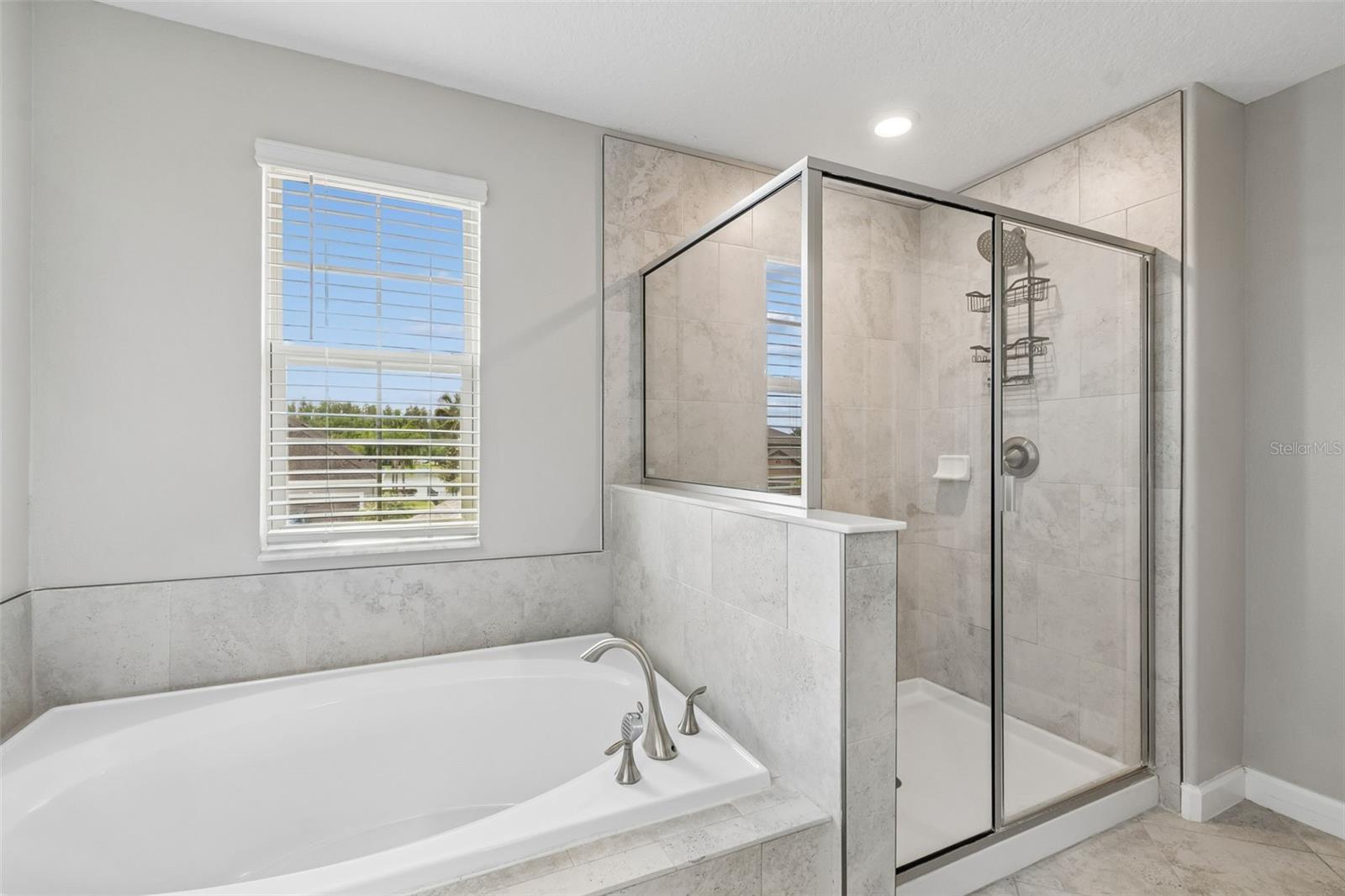 32237 WATOGA LOOP, WESLEY CHAPEL, FL, 33543