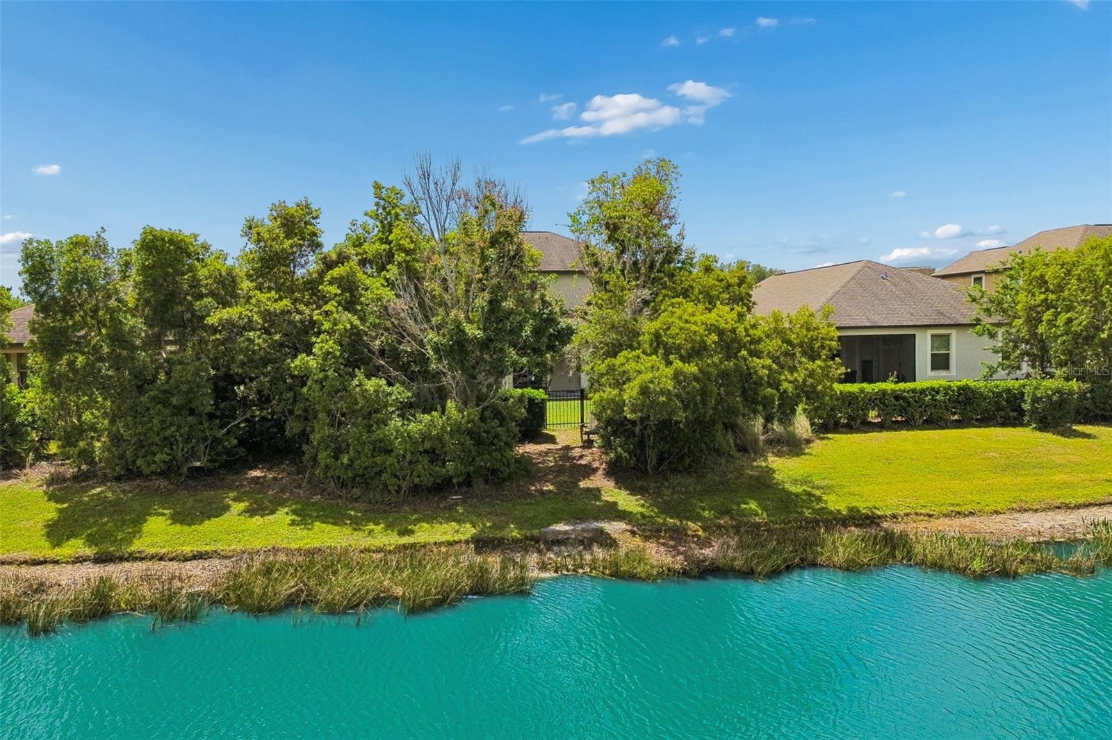 32237 WATOGA LOOP, WESLEY CHAPEL, FL, 33543