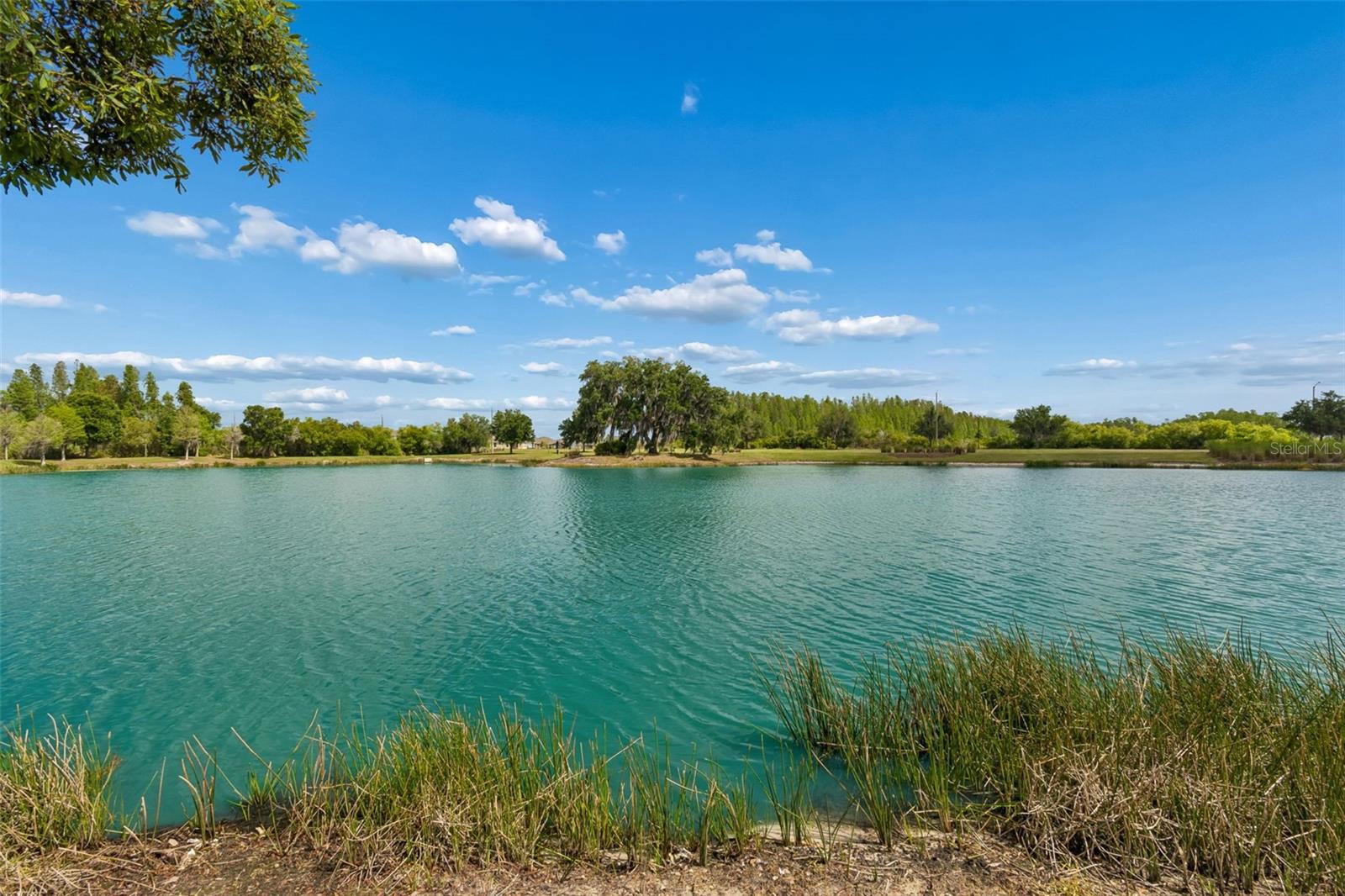 32237 WATOGA LOOP, WESLEY CHAPEL, FL, 33543