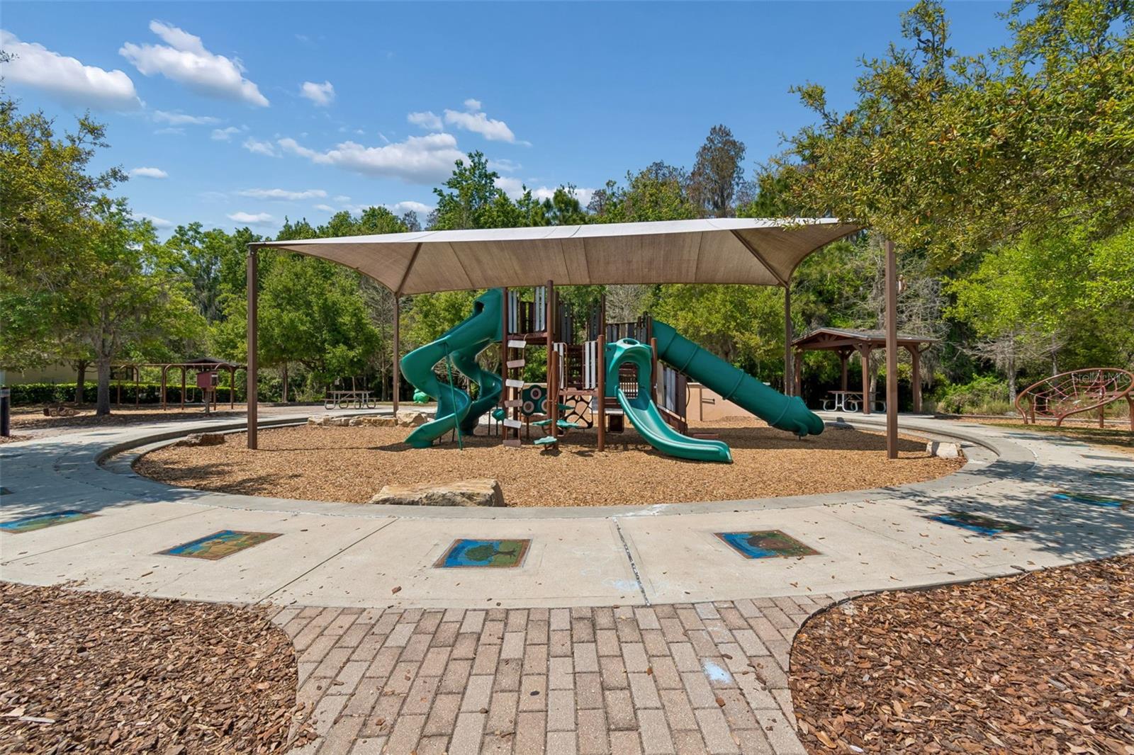 32237 WATOGA LOOP, WESLEY CHAPEL, FL, 33543