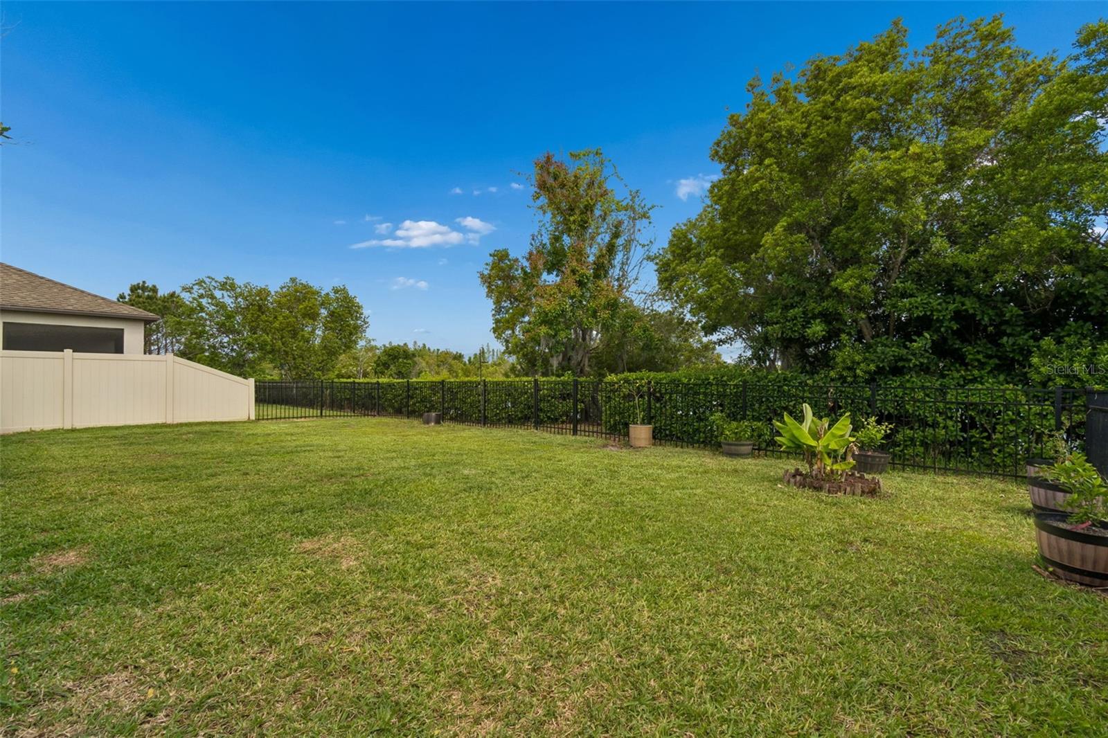 32237 WATOGA LOOP, WESLEY CHAPEL, FL, 33543