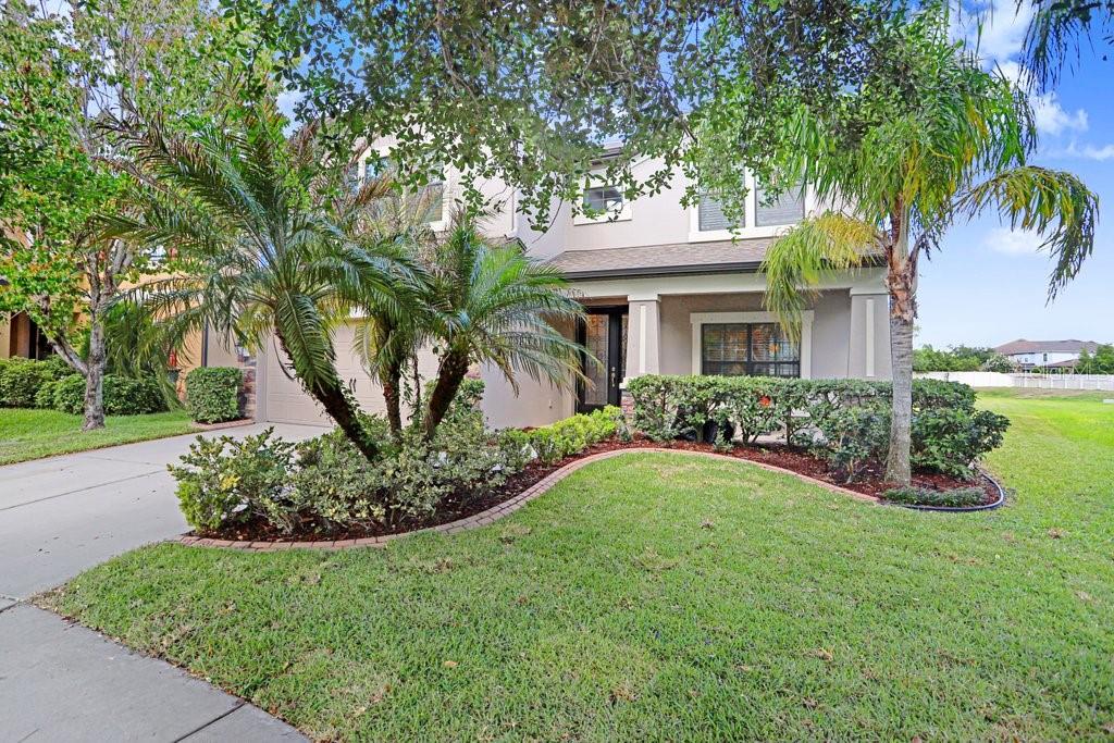 11719 ALBATROSS LN, RIVERVIEW, FL, 33569