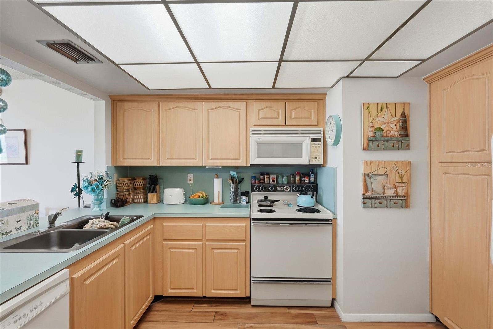 6180 SUN BLVD #307, ST PETERSBURG, FL, 33715