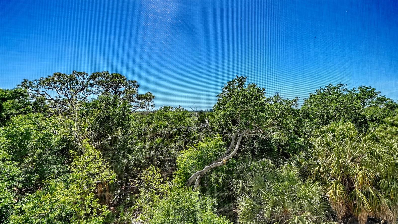 409 NORTH POINT RD #401, OSPREY, FL, 34229