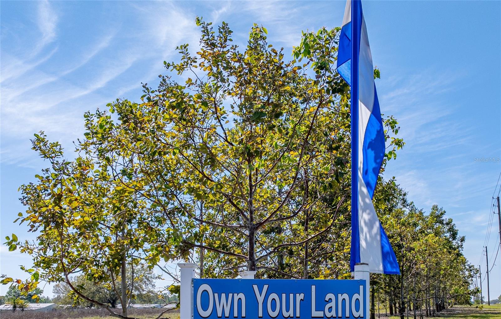 157 VICTORIA DR, HAINES CITY, FL, 33844