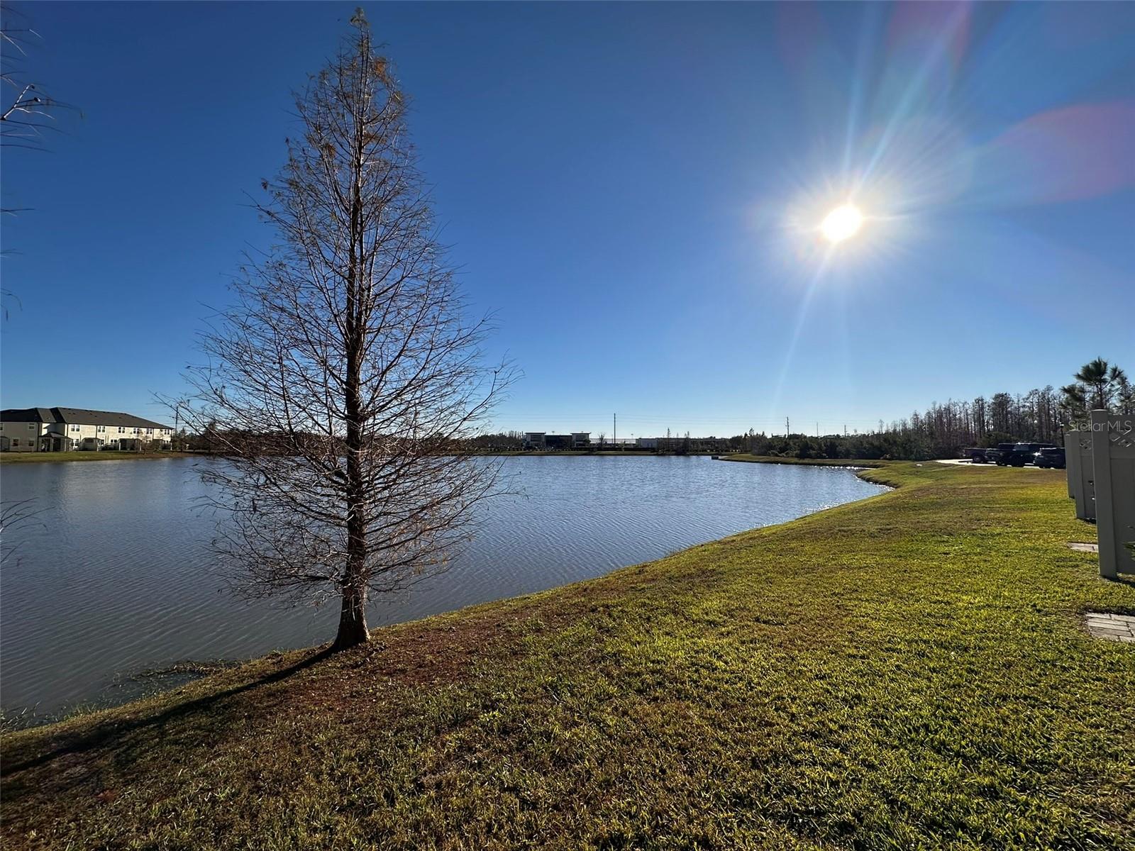 29850 SOUTHWELL LN, WESLEY CHAPEL, FL, 33543