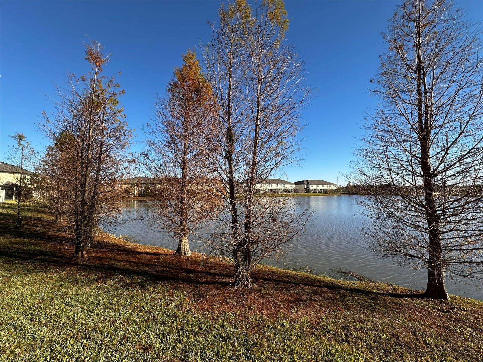 29850 SOUTHWELL LN, WESLEY CHAPEL, FL, 33543