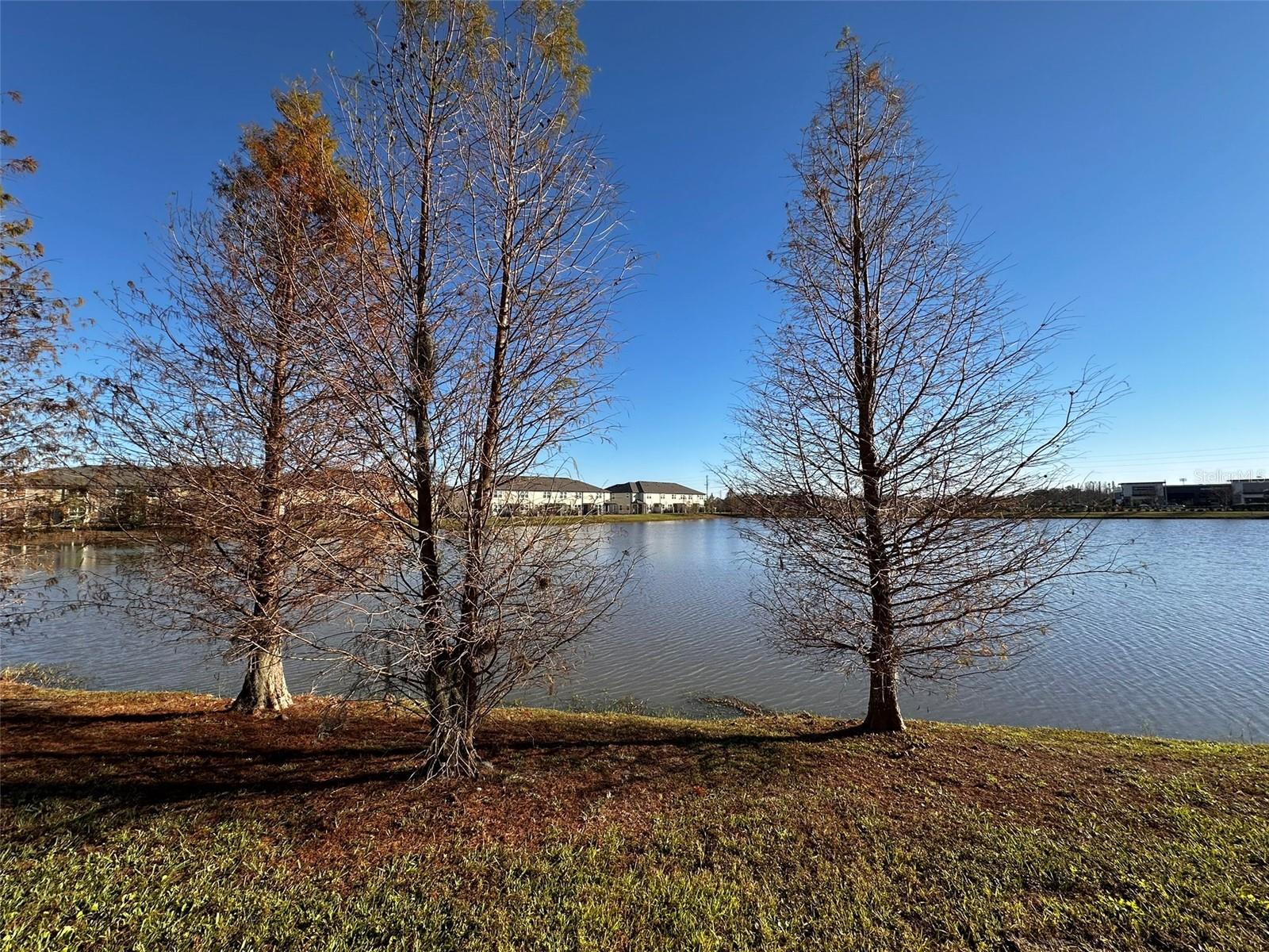 29850 SOUTHWELL LN, WESLEY CHAPEL, FL, 33543